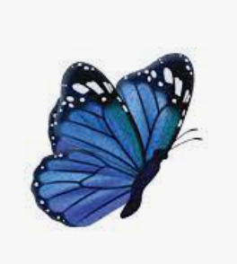 butterfly主题魔改教程